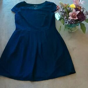 En Focus Studio Dress